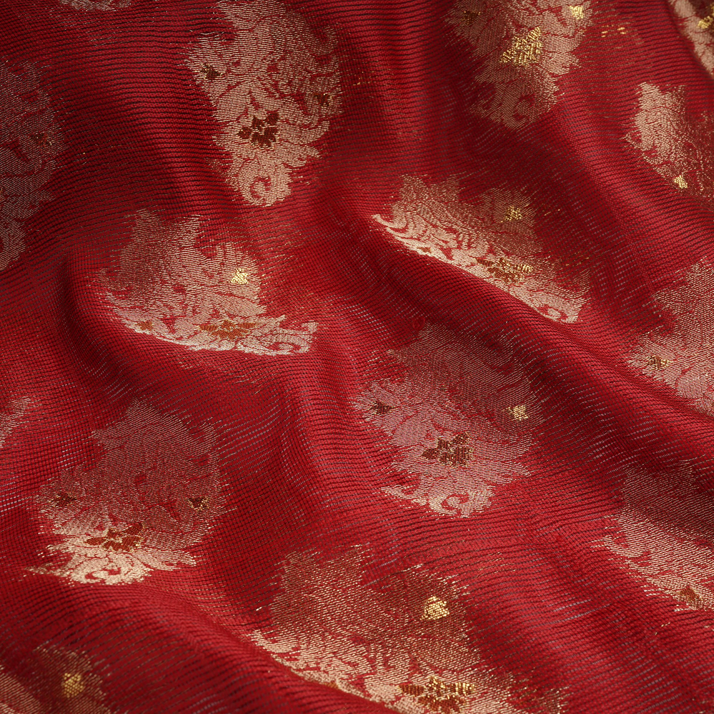 Noorain – Loom Net Fabric with Golden Zari Bunch