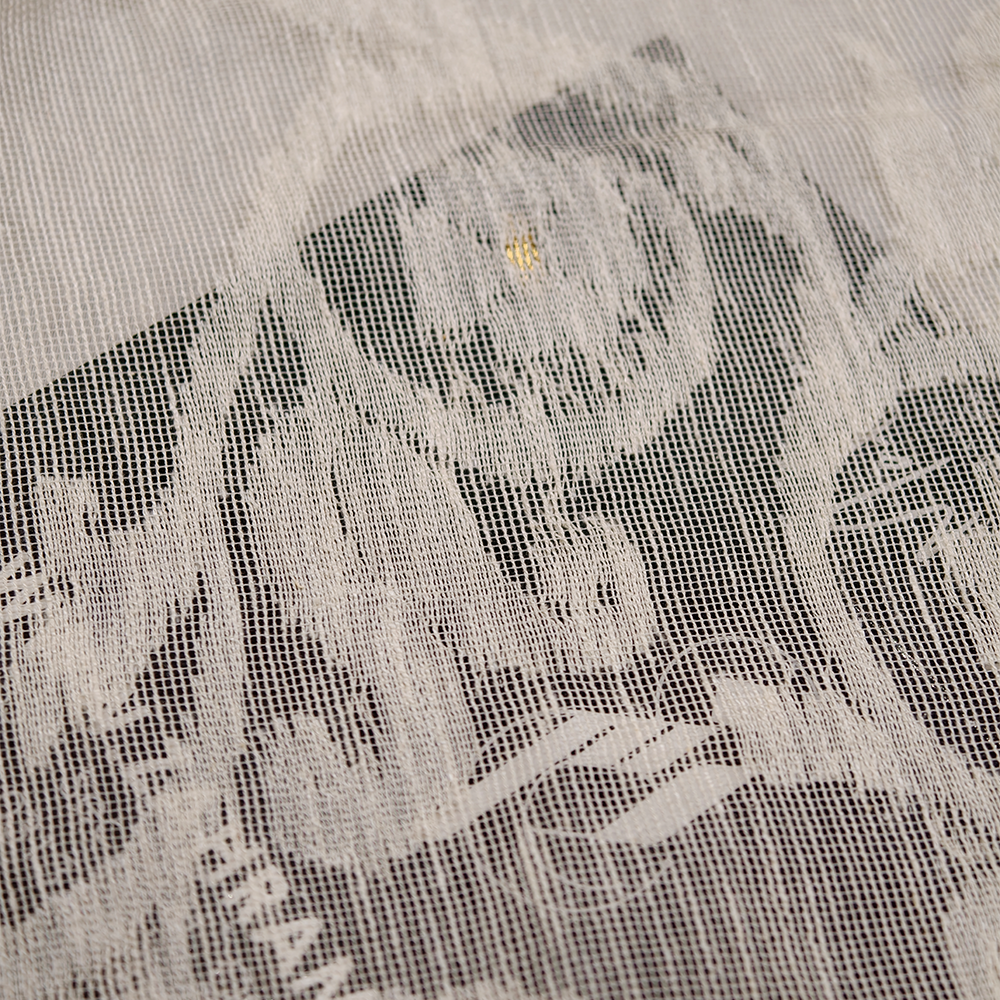 Shabnam Gul — Pure Khaddi Spun Silk Net